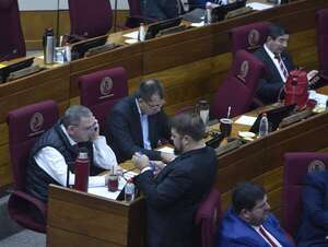 Senado emplaza al pleno a definir en 15 días proyecto que restituye el voto secreto de los ministros de la Corte  - Política - ABC Color