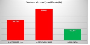 Finalizó el ciclo de exportaciones de trigo con un aumento del 53,9%