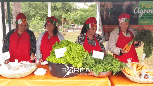 Villarrica: productoras impulsan el consumo saludable | Unicanal