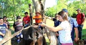 La Nación / Sinafocal capacita a mujeres en prácticas de castración y cuidado animal en Guairá