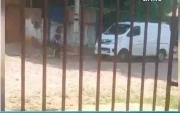 Popular / ¡Re loca destrozó camioneta a pedradas en San Lorenzo!