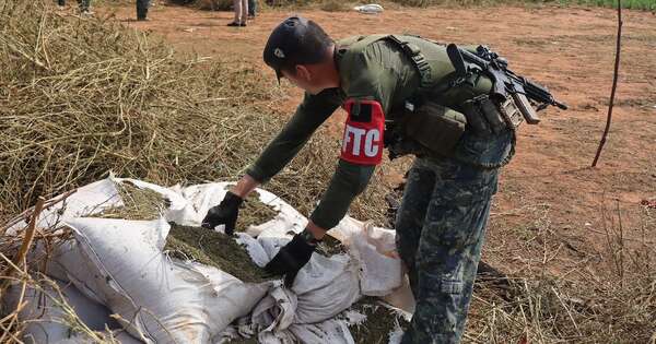 La Nación / Operación CUT en Concepción: golpe de USD 500.000 para organizaciones criminales