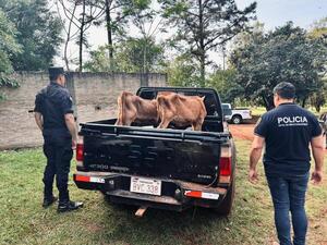 El “autoabigeato” que sacudió a Itapúa