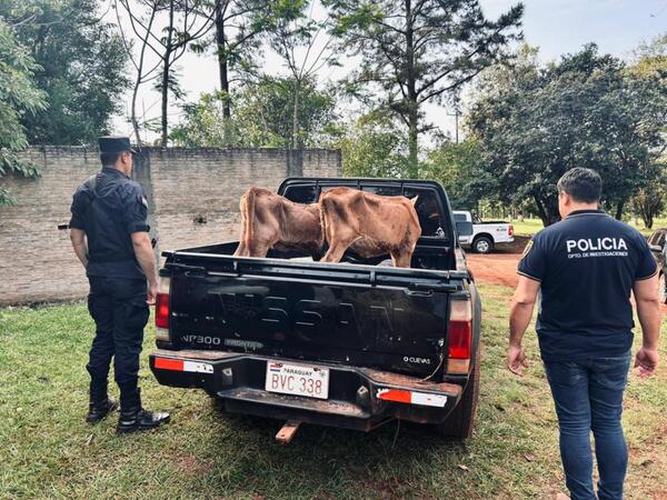 El “autoabigeato” que sacudió a Itapúa