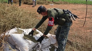 Golpe de casi medio millones de dólares a estructuras del narcotráfico que operan en Concepción
