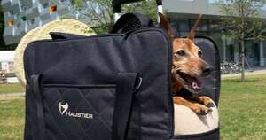 La Nación / Un perro puede ser considerado un equipaje aéreo ordinario, dice tribunal europeo