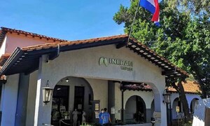 Niña tragó un silbato y la trataron como alergia: Neumólogo pide a médicos mayor atención – Prensa 5