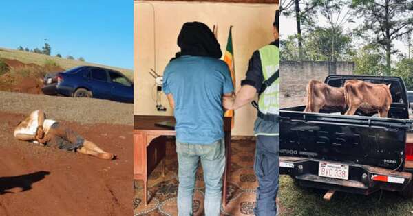 Diario HOY | Pidió que lo golpeen para simular abigeato: cae capataz por denuncia falsa