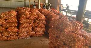 Diario HOY | Incautan casi 3.000 bolsas de cebolla de contrabando en el Chaco