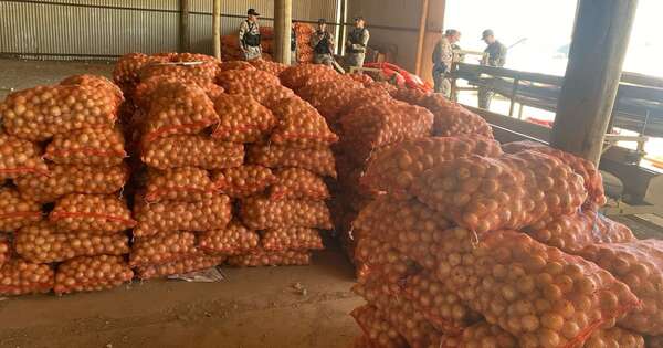 Diario HOY | Incautan casi 3.000 bolsas de cebolla de contrabando en el Chaco