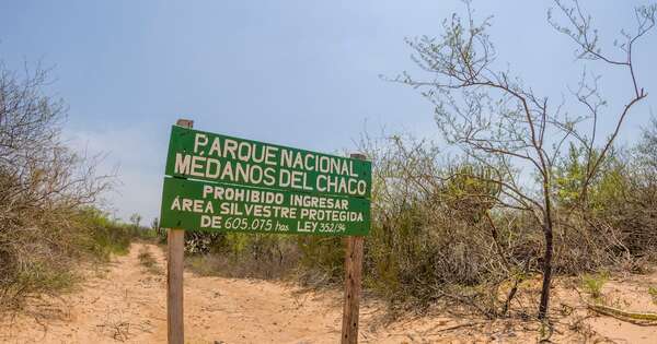 Diario HOY | Refuerzan acciones ante bajo conocimiento de las áreas silvestres protegidas