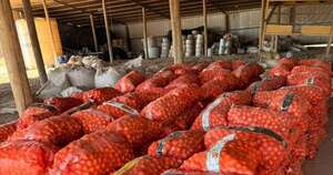La Nación / Decomisaron casi 100.000 kilos de cebolla brasilera destinada al mercado local