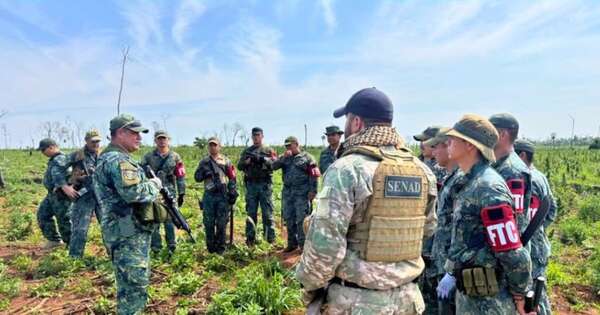La Nación / Operación CUT: duro golpe de USD 500.000 a criminales