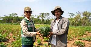 La Nación / Compromiso con el desarrollo sostenible: Paracel y su impacto positivo en el norte del país