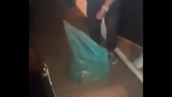 Pitbull mató al perro de la vecina y los dueños le devolvieron el cuerpo en una bolsa