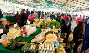 El MAG impulsa canastas navideñas con productos del campo - OviedoPress