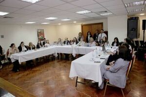 Realizaron primer taller de análisis y selección de indicadores del MESECVI