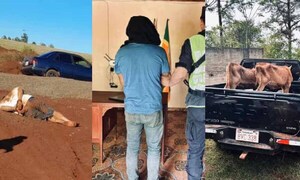 Pidió que lo golpeen para simular abigeato: cae capataz por denuncia falsa – Prensa 5