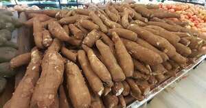 La Nación / Plan piloto medirá las pérdidas de alimentos en el sector agrícola