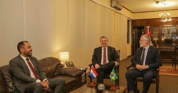 La Nación / TSJE y Embajada del Brasil fortalecen lazos de cooperación bilateral en temas electorales