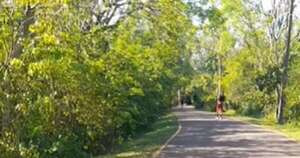 Diario HOY | Jakare en el Parque Guasu: “No genera peligro si es que no invadimos su espacio”