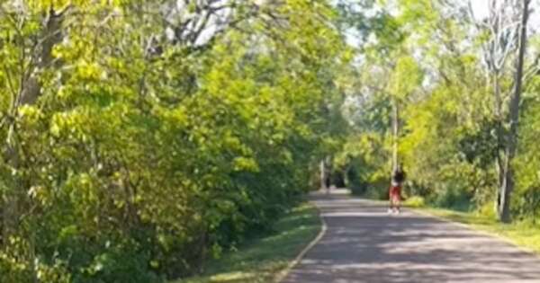 Diario HOY | Jakare en el Parque Guasu: “No genera peligro si es que no invadimos su espacio”