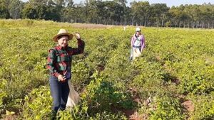 IPTA brindó capacitaciones a más de 3.700 jefas de hogar
