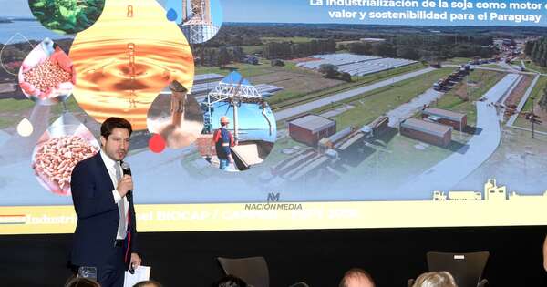 La Nación / Destacan potencial del campo para impulsar la sostenibilidad energética nacional