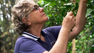 Documental sobre la dictadura llega este domingo en Villarrica