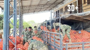 Operación “Jejoko Mbarete” inició con incautación de cebolla en el Chaco - trece
