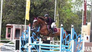 Hipismo: Cita esteña en el Hípico - Polideportivo - ABC Color