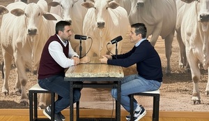 Del campo a la góndola: la historia detrás de Nelore Estrellita, en podcast + Valor