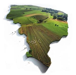 Alto Paraná despunta en los agronegocios - ABC en el Este - ABC Color