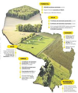 Ganadería, granos y forestal escriben el relato económico  - ABC Rural - ABC Color