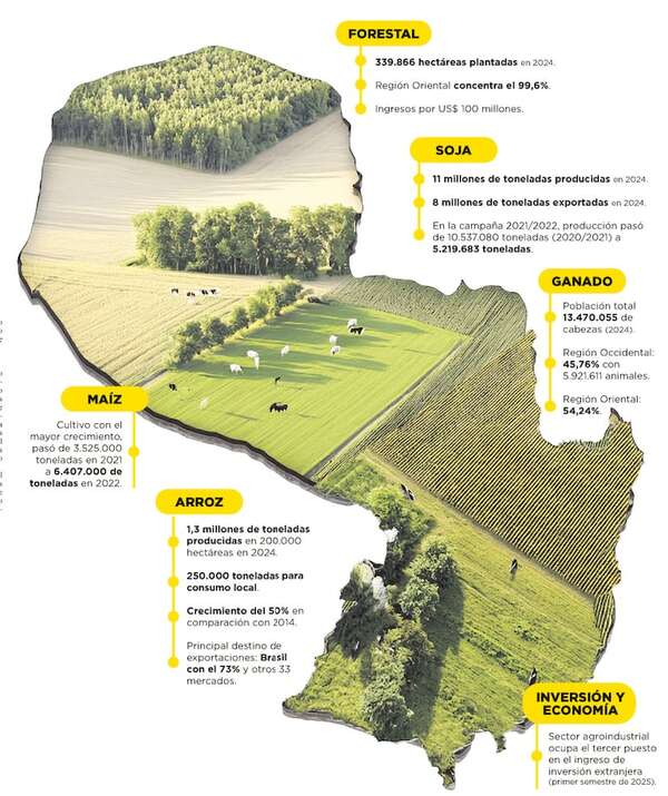 Ganadería, granos y forestal escriben el relato económico - ABC Rural - ABC Color