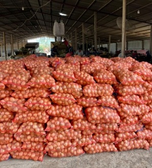 Productor chaqueño de cebolla denuncia grave perjuicio por incautación irregular de su cosecha