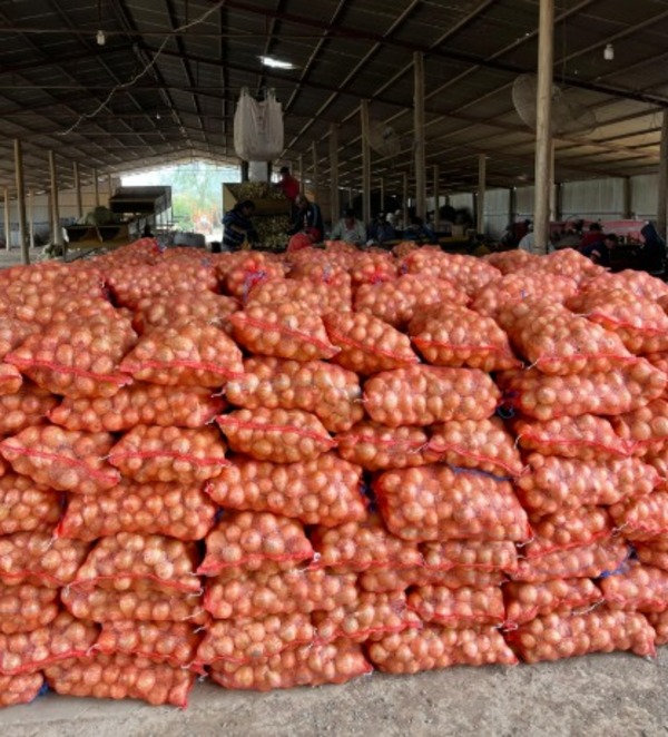 Productor chaqueño de cebolla denuncia grave perjuicio por incautación irregular de su cosecha