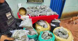 La Nación / Tacuatí: desmantelan centro de acopio y producción de marihuana de alta pureza