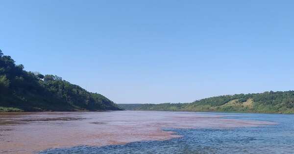 La Nación / La escala de las adaptaciones