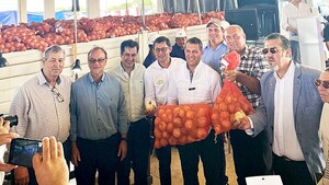 Productor chaqueño desmiente la acusación de contrabandear cebollas