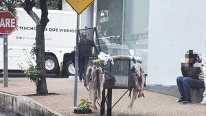 Alertó sobre la venta de pescados sobre basurero y se armó guyryry