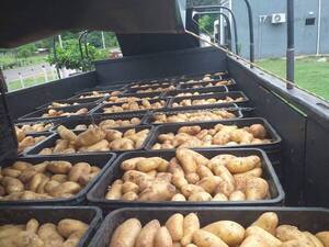 Productores comercializan más de 25.000 kilos de papa con apoyo técnico del MAG