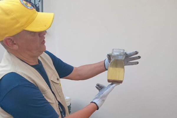 Lucha contra el aedes aegypti prosigue en San Pablo