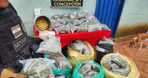 Diario HOY | SENAD desmantela laboratorio de marihuana tipo “Skunk” en Tacuatí