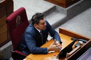China: Tuma descarta referéndum vinculante y habla de consulta ciudadana - Política - ABC Color