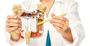 Una microbiota en equilibrio brinda bienestar y reduce la ansiedad
