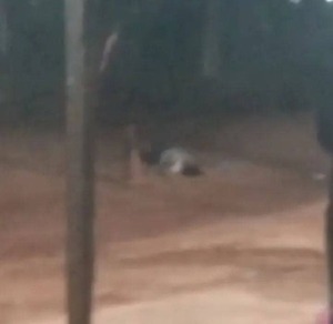 Disparo mortal en cancha de vóley de Pedro Juan Caballero