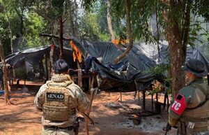 Más de 114 toneladas de marihuana fueron destruidos en Concepcion durante operativo conjunto