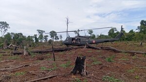 Narcotráfico destruyó más de 5.000 hectáreas de bosques en dos años, revela Senad