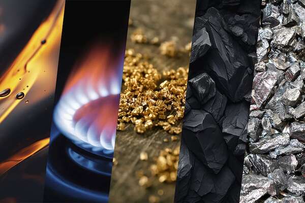 Top 5 commodities que dominan el mercado global y paraguayo - Negocios - ABC Color